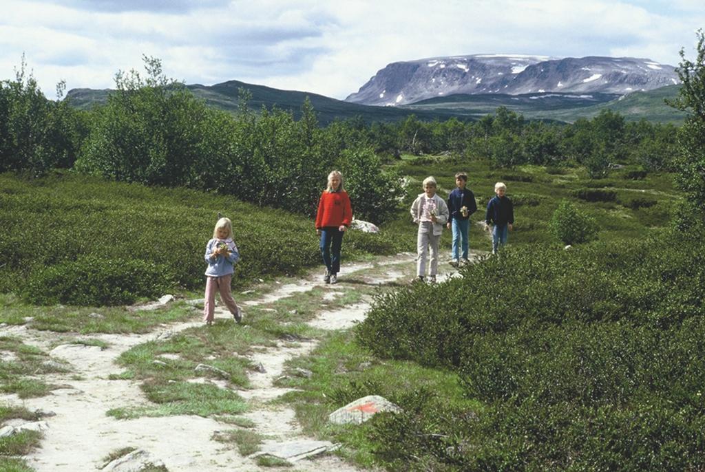 Lia Fjellhotell Geilo Ngoại thất bức ảnh